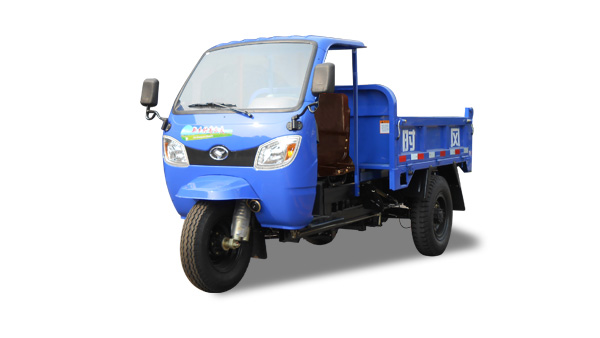 焦点娱乐手把简易棚系列车型